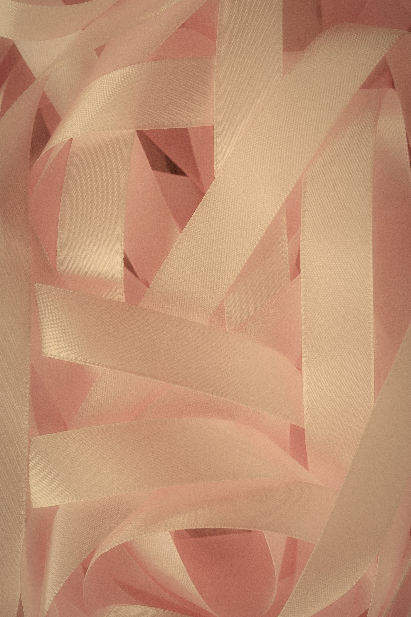 Cintas de raso rosa enredadas
